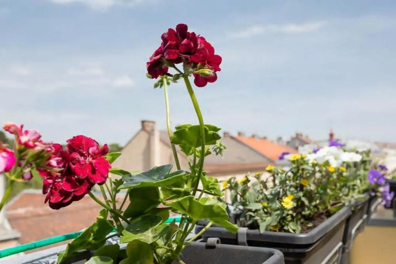 Apartment Visit Vienna Roof Terrace Morning Sun